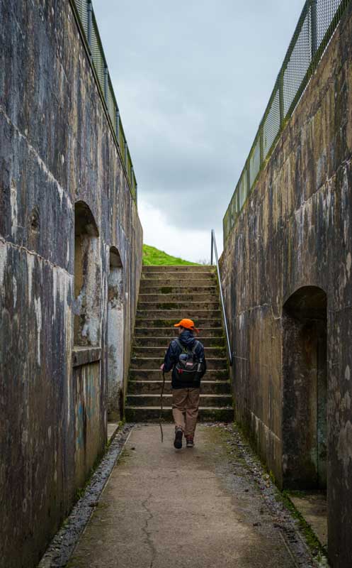 Reigate Fort