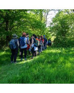 Hiking: Bodiam Castle & Hurst Green – Sat 21 Jun 2025