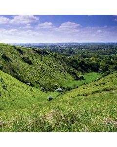 Hiking: Polesden Lacey & England's Largest Vineyard – Sat 05 Apr 2025