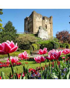 Guildford Castle & The North Downs - Sat 06 Sep 2025