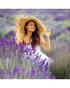 Lavender Fields Hike: Banstead Commons & Oaks Park - Sun 20 Jul 2025