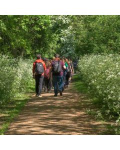 Lee Valley to Waltham Hike: Sun, 01 Jun 2025