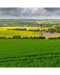 Trek: Leeds Castle & Hollingbourne – Sat 31 May 2025