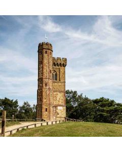 Leith Hill Rhododendron Wood Hiking - Sat 25 Oct 2025