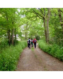 Ockley To Warnham Walk - Beginners Walkers! Saturday 22 Feb 2024