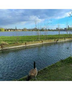 Hiking: Stoke Newington Wetlands – Sun 07 Sep 2025