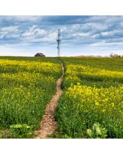 Hiking: Marden Park & Greensand Way North – Sat 10 May 2025