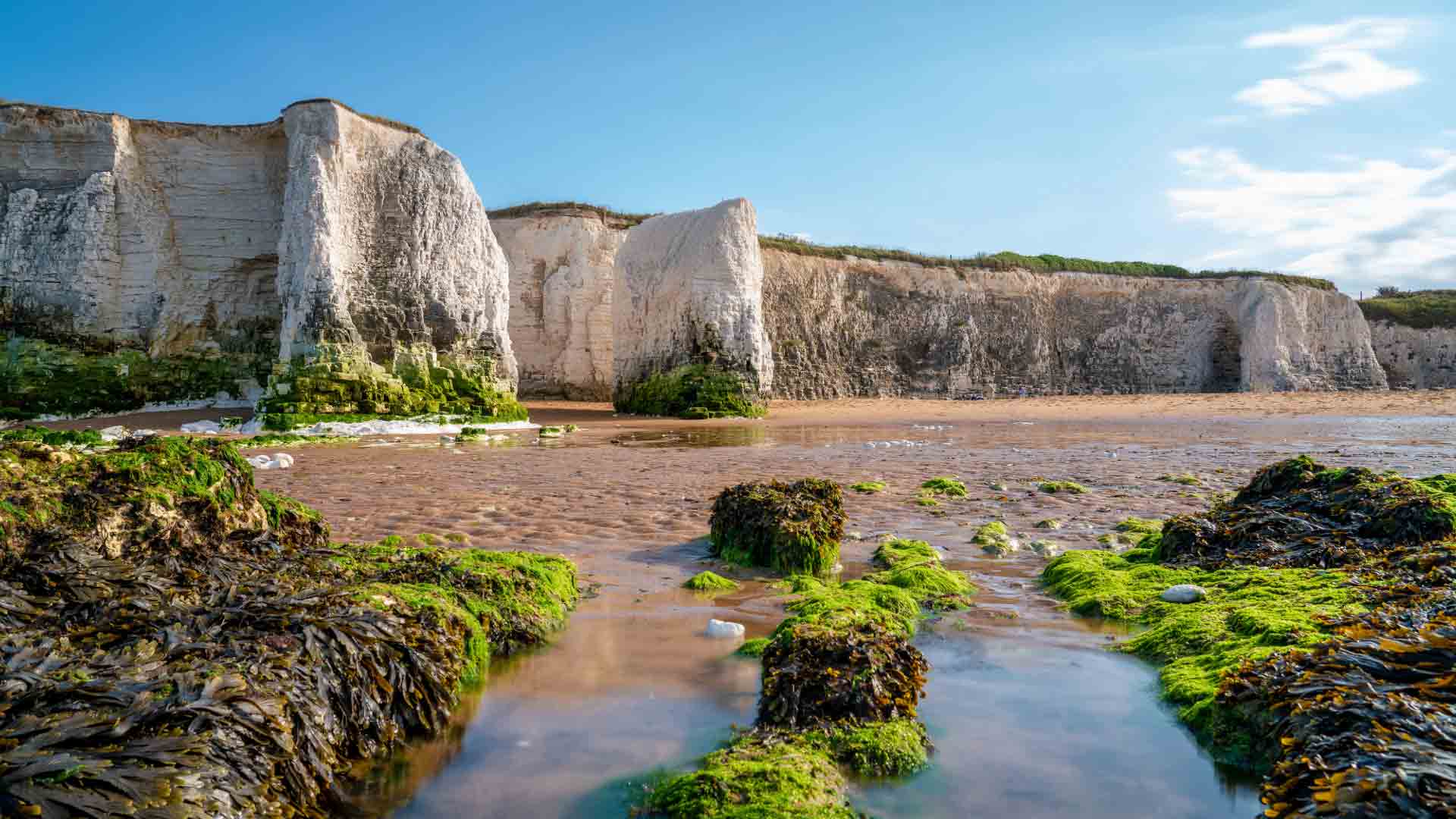 Botany Bay, UK: A Journey into History and Culture