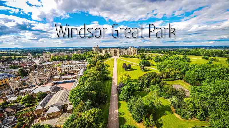 Windsor Great Park