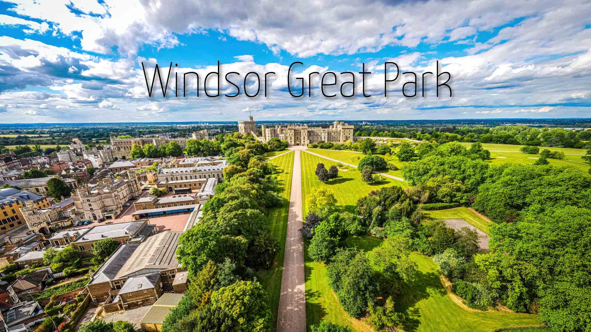 Windsor Great Park