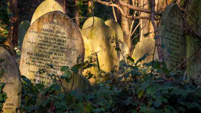 Abney Park Cemetery