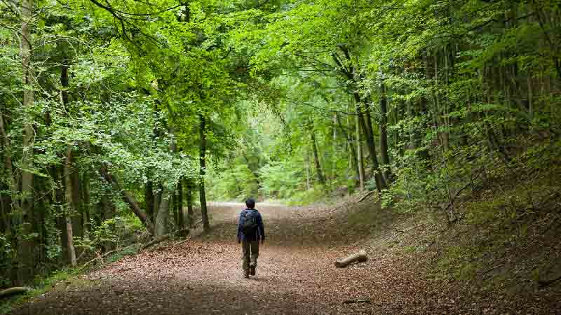 Panoramic view of the Chiltern Hills with rolling slopes, ancient woodlands, and scenic countryside.