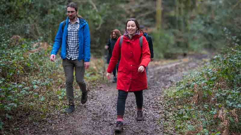 Hikers walking along a scenic woodland trail near Effingham Junction, surrounded by greenery and enjoying the tranquil countryside.