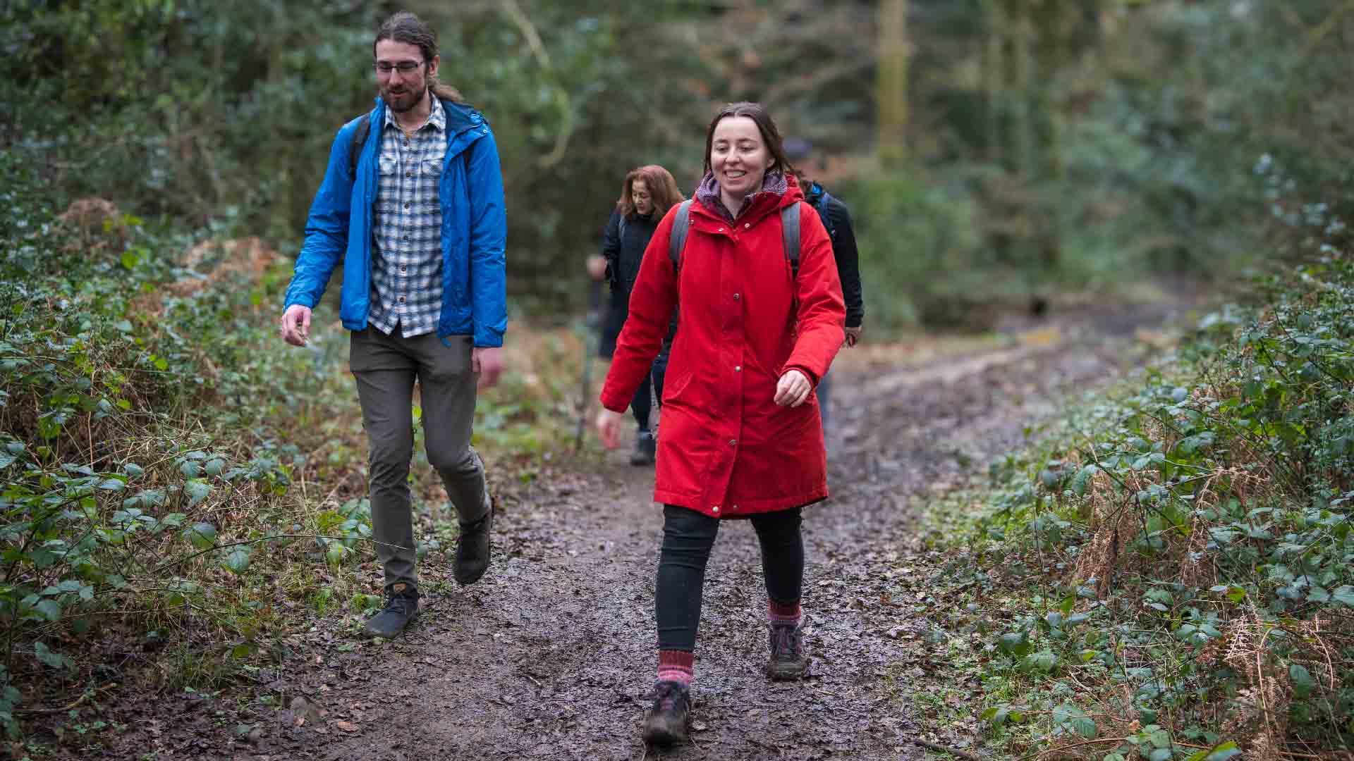 Hikers walking along a scenic woodland trail near Effingham Junction, surrounded by greenery and enjoying the tranquil countryside.