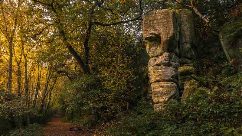 Discover Eridge: Culture, History, Mysteries & Curiosities