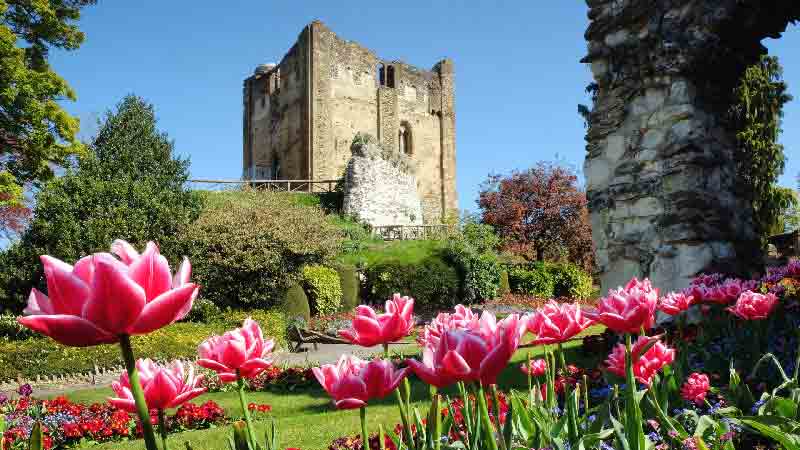 A panoramic view of Guildford Castle, a medieval fortress amid lush gardens.  Title Attribute: Guildford Castle – A historic fortress revealing centuries of mystery.