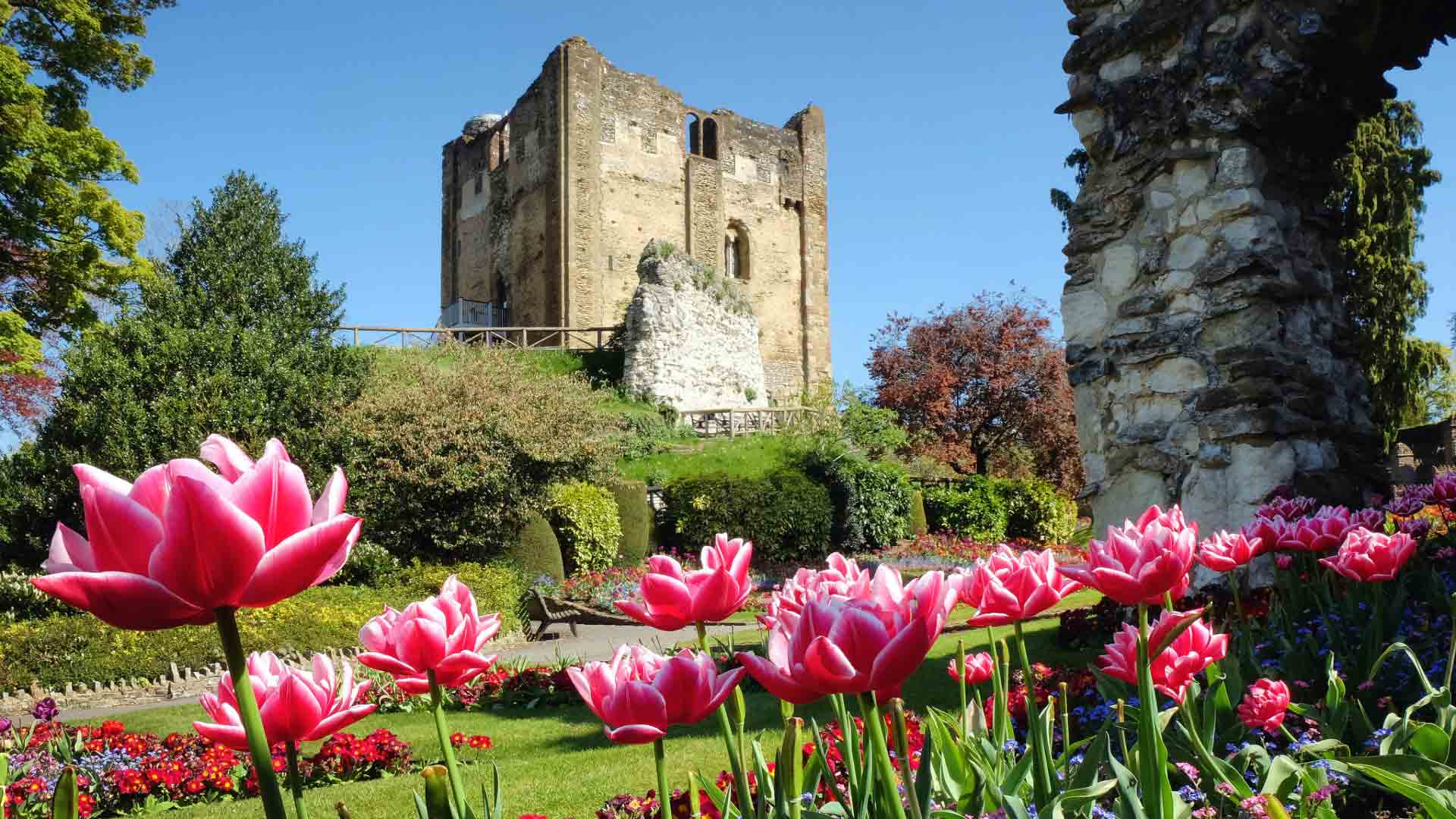 A panoramic view of Guildford Castle, a medieval fortress amid lush gardens.  Title Attribute: Guildford Castle – A historic fortress revealing centuries of mystery.