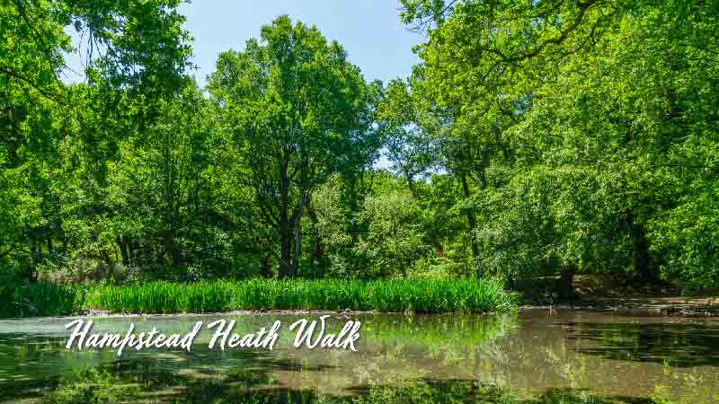 Hampstead Heath