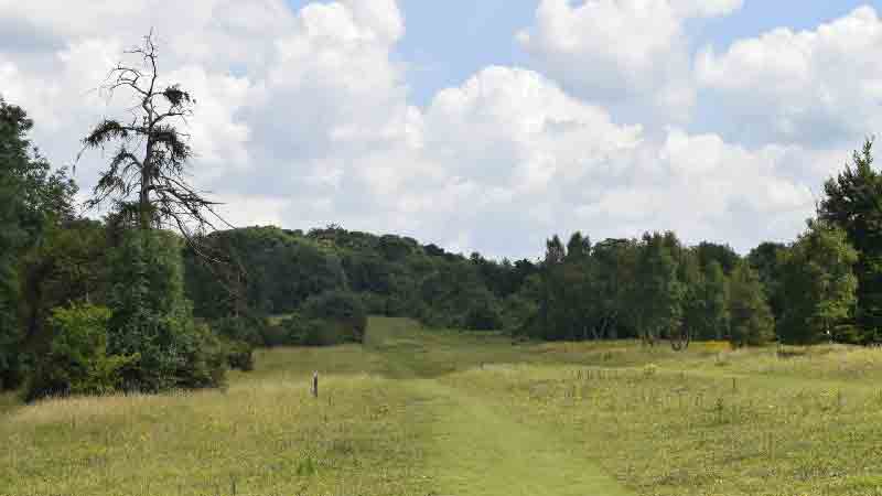 A tranquil pathway stretches through a picturesque meadow surrounded by lush greenery and a mix of vibrant trees, leading to the enchanting woodland of Historic Woodlands and Hidden Valleys under a serene, partly cloudy sky