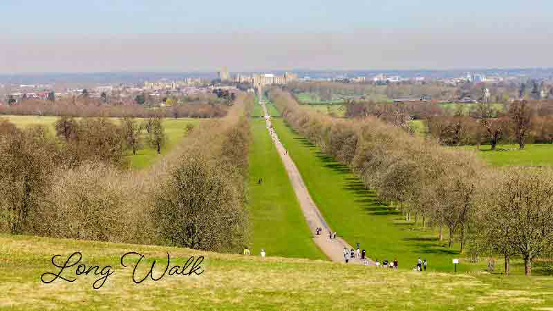 The Iconic Long Walk in Windsor Great Park