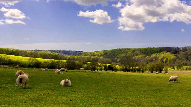 Discover Marden Park