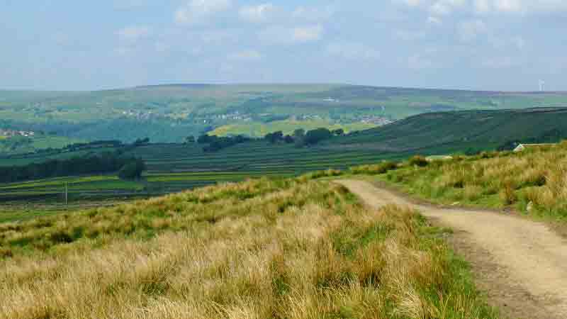 Scenic view of the North Downs Way’s rolling hills and ancient pathways.