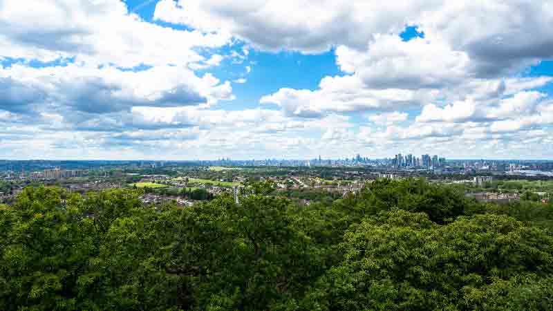 Book your hiking adventure at Oxleas Wood