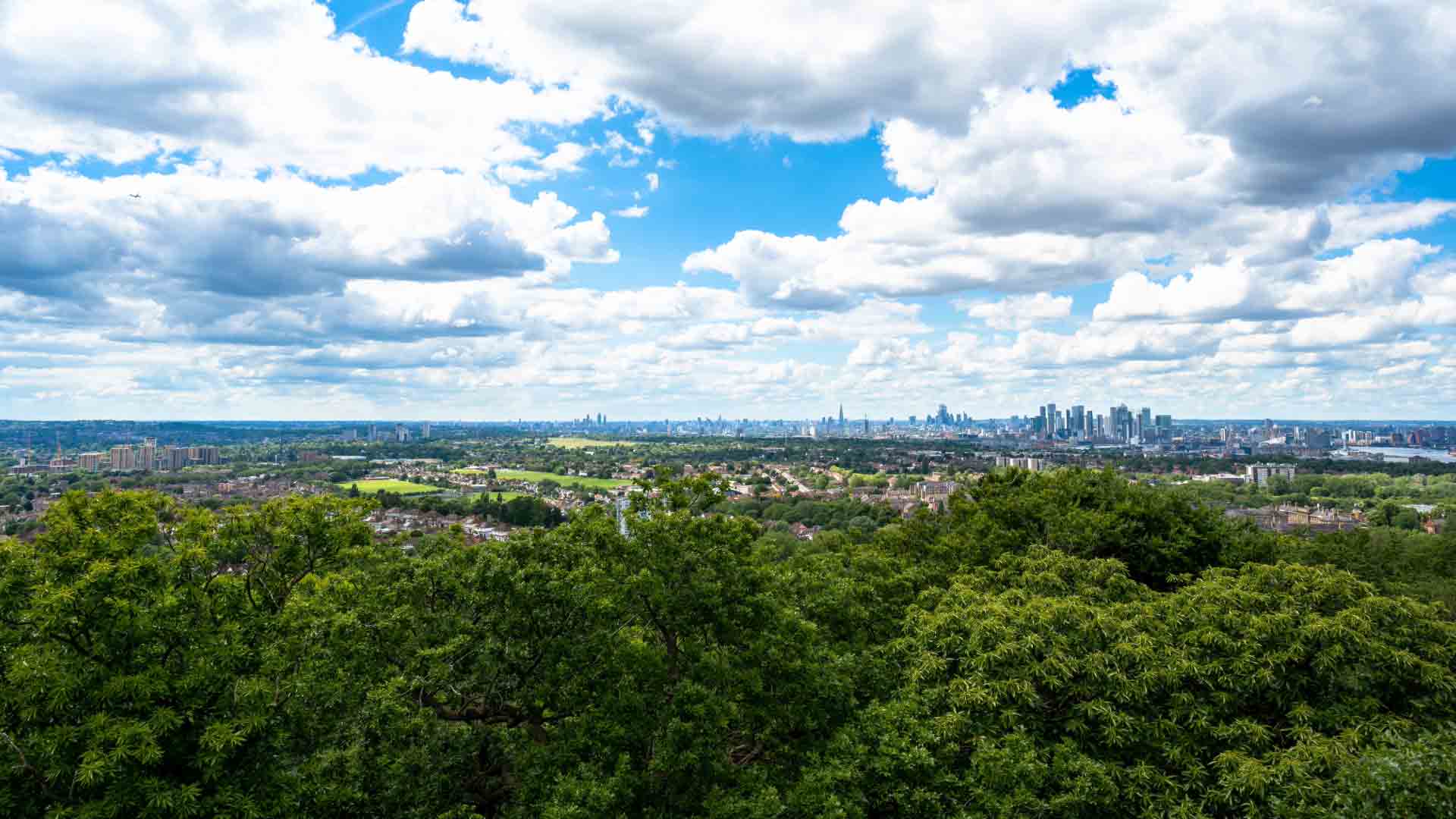 Book your hiking adventure at Oxleas Wood