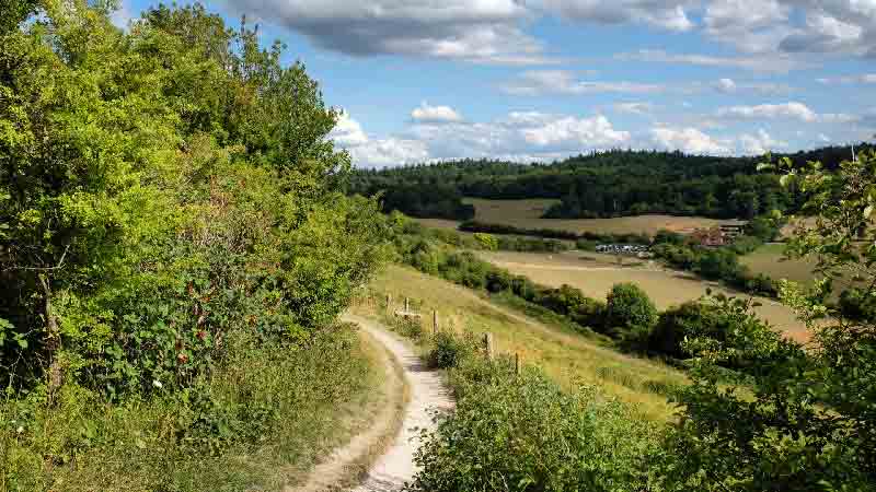 Scenic view of Pewley Down’s lush green hillside