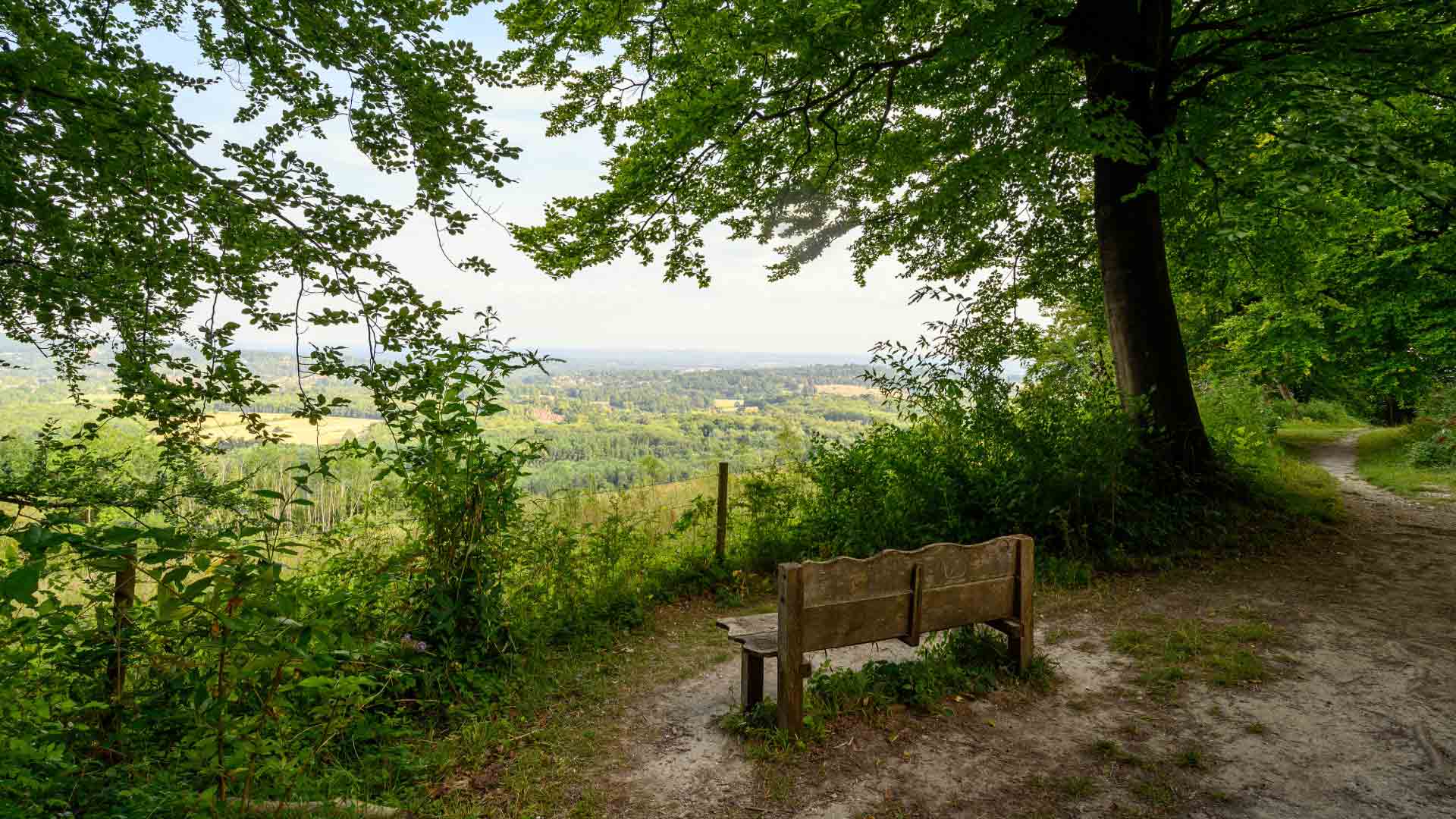 Panoramic view of Surrey Hills AONB’s rolling green landscapes and ancient woodlands.