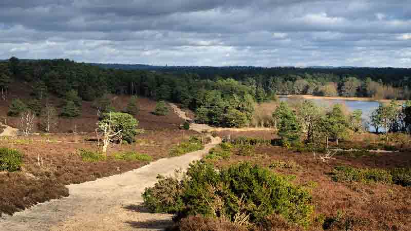 The Greensand Way – Unforgettable Adventure with Friends