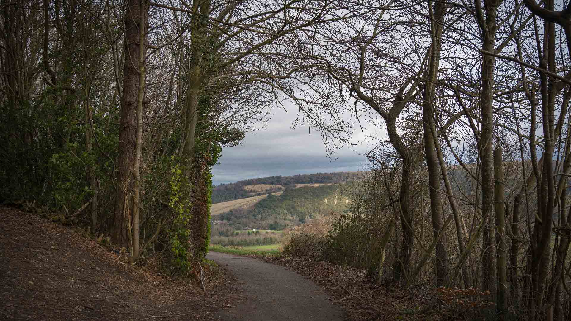 Serene countryside path in Westhumble, framed by bare trees and revealing picturesque views of the Surrey Hills in the distance